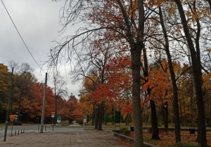 Widok parku w jesiennych kolorach.