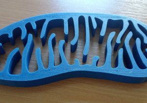 Na zdjęciu widoczny niebieski model przekroju mitochondrium.