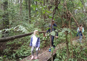 Grupa idzie przez podmokły las po kładce z desek.