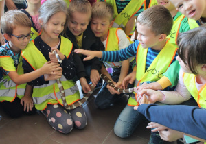 Dzieci trzymają w rękach węża.