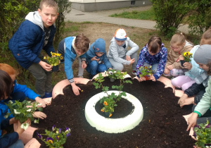 Dzieci sadzą kwiaty.