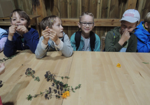 Dzieci siedzą przy stole, na którym leżą świeże zioła.