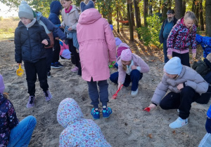 Szukanie ziemniaków przez uczniów klasy 3c na ognisko.