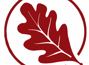 Galante Sprzątanie 2026